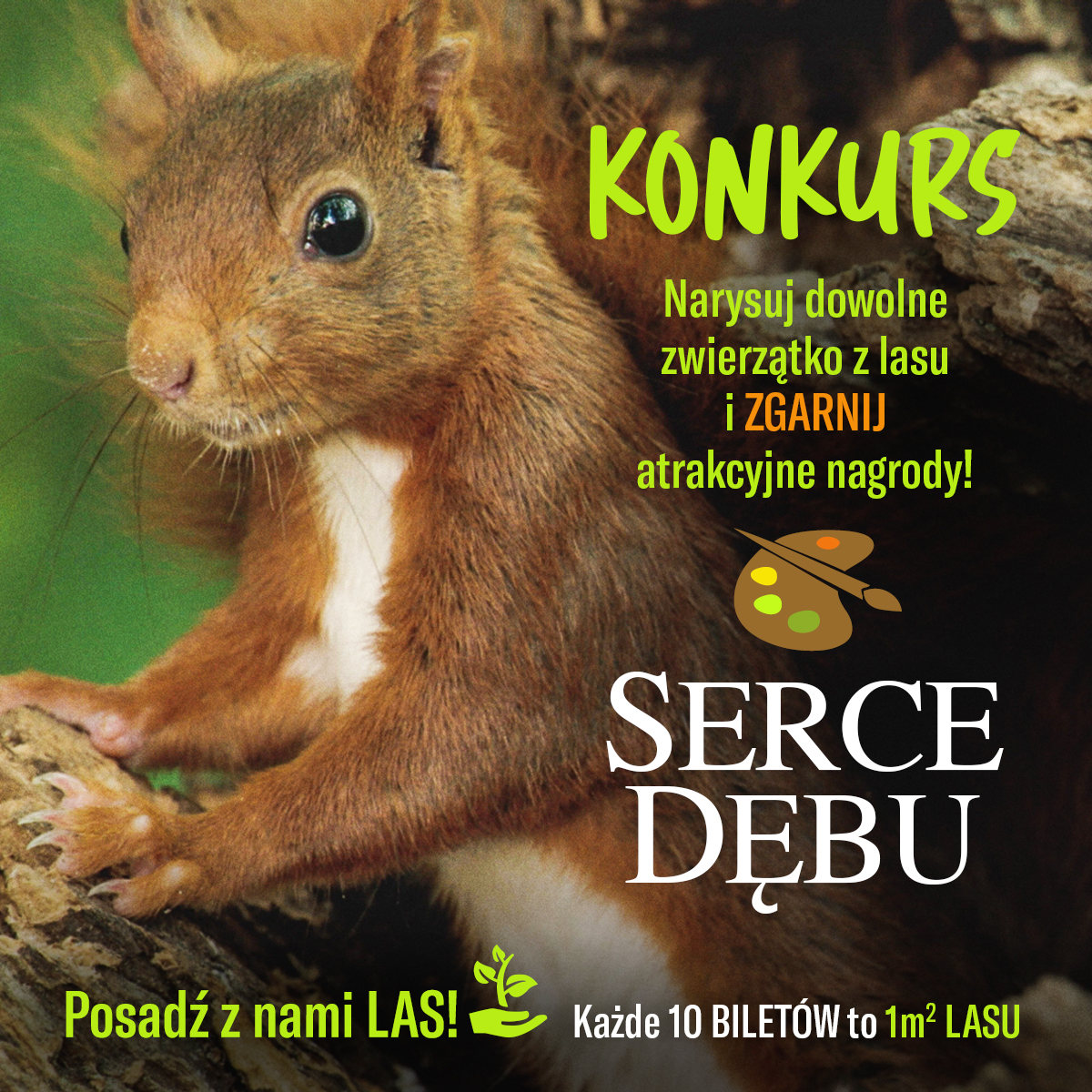 Zdjęcie wiewiórki. Obok napis: Konkurs. Narysuj dowolne zwierzatko z lasu i zgranij atrakcyjne nagrody! Serce Dębu. Posadź z nami LAS. Każde 10 biletó to jeden metr kwadratowy lasu. o.